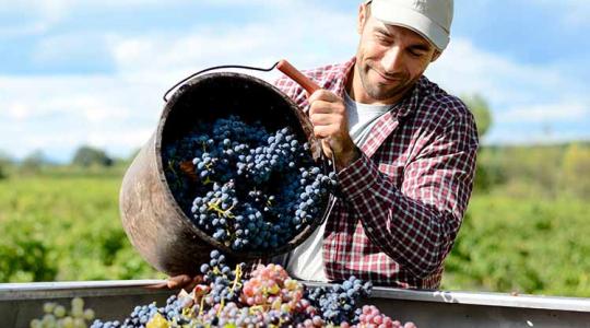 A mezőgazdaságot is érintik a kormány extraprofitadói