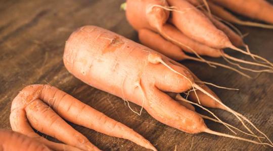Deformált zeller, cékla, répa vagy retek? Okok, megelőzés és gyógyítás