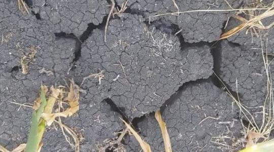 Fokozódik a baj – friss időjárás előrejelzés