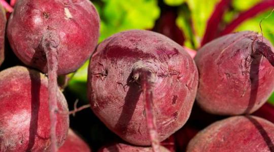 Gyökérzöldségek, fűszerpaprika – vadonatúj növényvédelmi lehetőségek