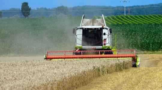 Meglepő fordulat: itt vannak a zalai terméseredmények 