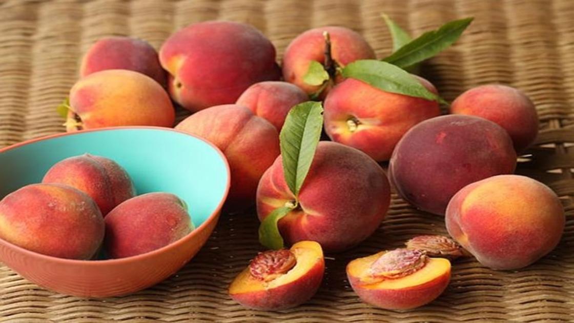 Fókuszban az őszibarack és a nektarin: bizakodhatunk a jó termésben? 
