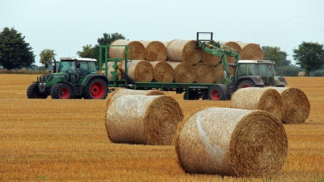 Csontszáraz a talaj? Erre érdemes figyelni