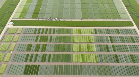 Kalászos agrotechnika – Plusz költségek nélkül az eredményes gazdálkodásért