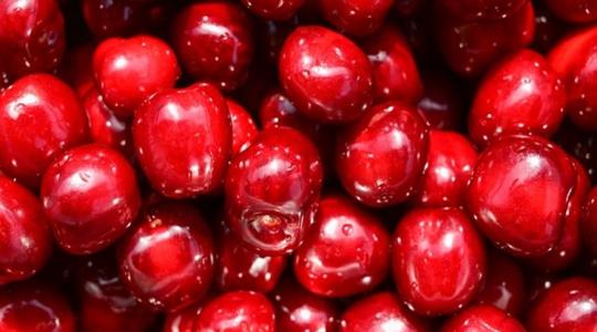 Óriási az igény külföldön erre a magyar gyümölcsre, jelentősen nőtt az export