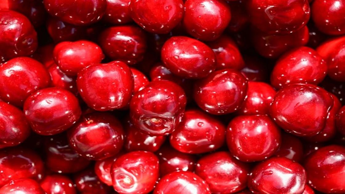 Óriási az igény külföldön erre a magyar gyümölcsre, jelentősen nőtt az export Óriási az igény külföldön erre a magyar gyümölcsre, jelentősen nőtt az export