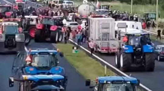 Nem csökken a holland gazdák dühe – már lövések is dördültek