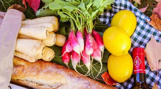 Pápai Expo és Agrárpiknik – az év legmenőbb agrárrendezvénye!