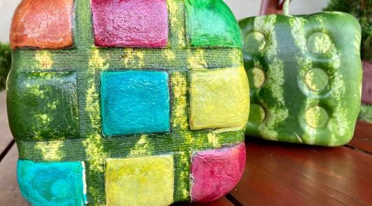 A világelső Rubik-kocka dinnye Hódmezővásárhelyen termett