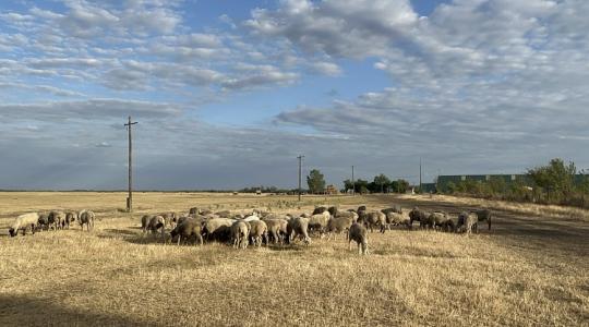 Aszályelemzés az elmúlt 6 hónap – és több évtized tükrében