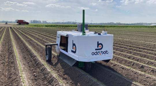 Kézimunka helyett robotkéz gyomlál – Videó