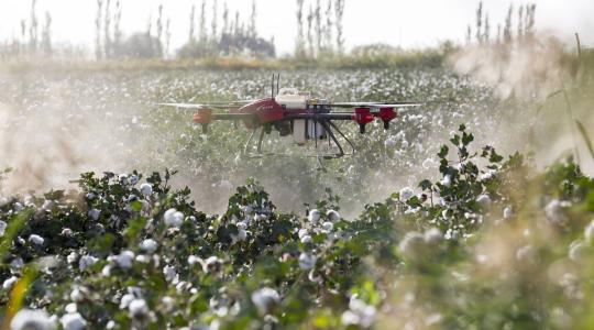 Átadták a 2020. évi Agrár és Környezetvédelmi Innovációs Díjakat