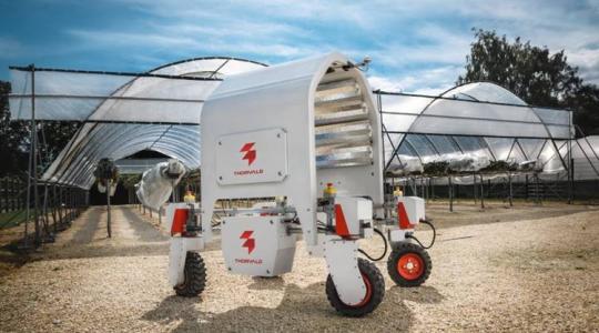 A munkaerőhiány megoldása a robotizáció által – mi a realitás?