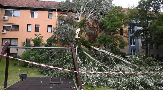 310 millió forintot is meghaladja a hétvégi viharkár