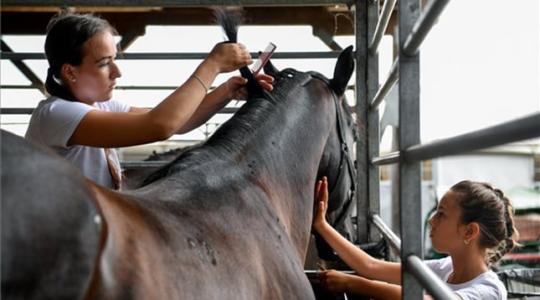 Hatalmas érdeklődéssel zárult a jubileumi Farmer Expo