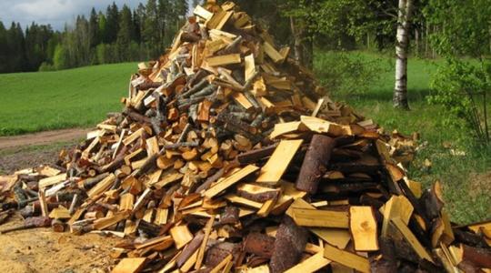 Káosz várható a tűzifa-piacon? Akadozó ellátás, hosszú várólisták a kereskedőknél