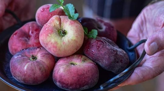 Fókuszban az őszibarack: miből, mennyi terem az idén?