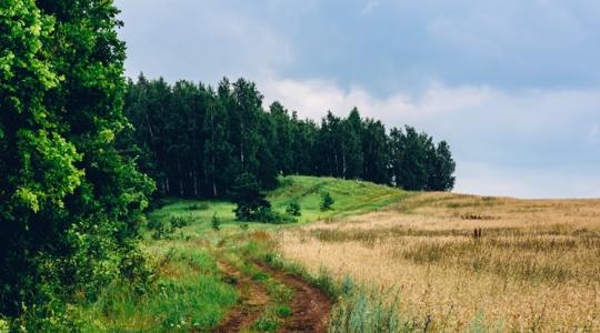 Figyelem, új támogatási-módosítás, amely kedvez a gazdáknak – és a természetnek is!