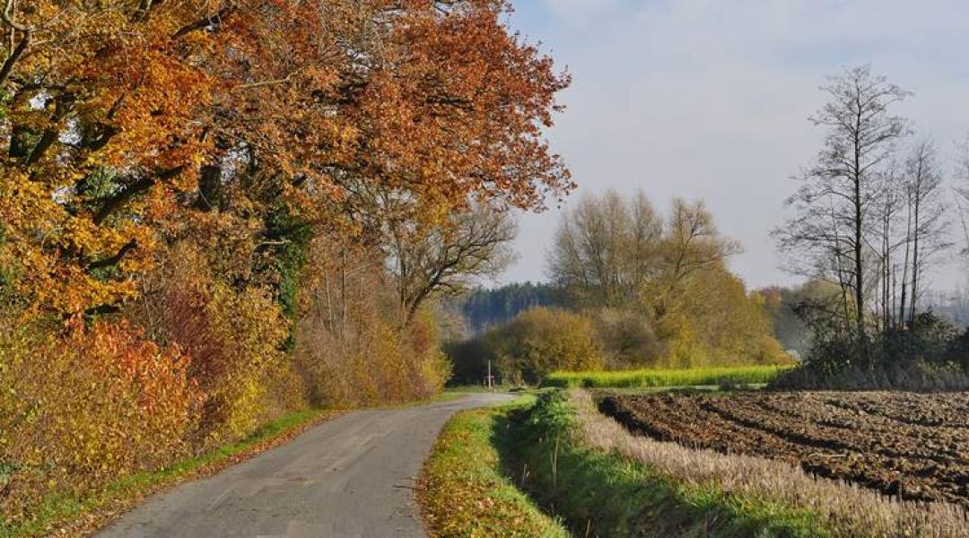 Most kiderül, mennyire lesz csapadékos a szeptember – 30 napos időjárás-előrejelzés