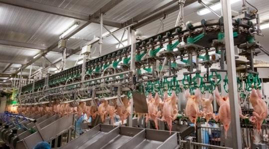 Így fejlődött hatalmasat a magyar baromfifeldolgozó