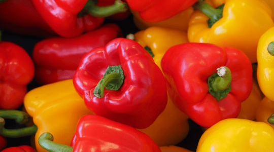A termálvíz a magyar kertészetek kiaknázatlan lehetősége 
