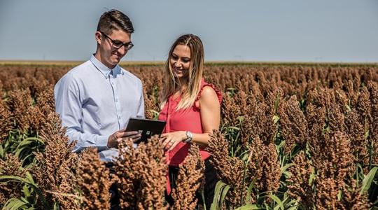 Így segít a KITE, hogy könnyebben hozzájuss álmaid gépéhez 