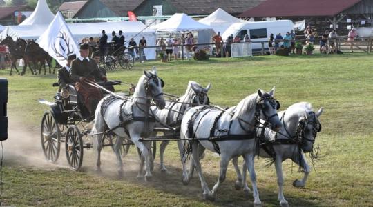 Farmer Expo 2023