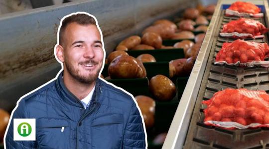 Szorít a munkaerőhiány a zöldségtermesztésben?