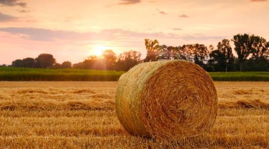 Könyvajánló: Utunk az indulástól céljaink eléréséig – megújuló vidék, megújuló agrárium, SAPARD20 