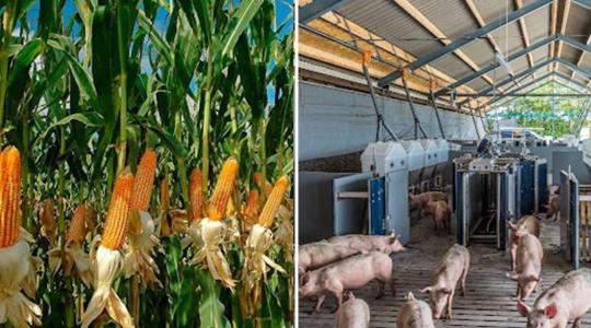 Faragj le a költségeidből – itt a segítség! 