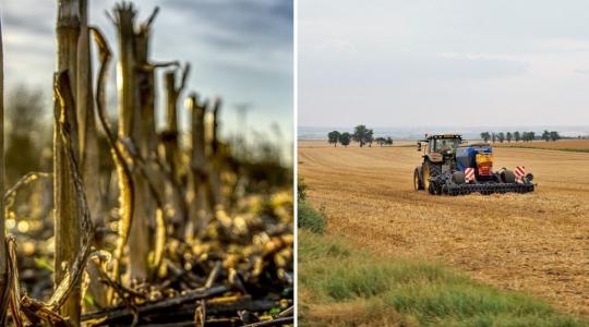 Mikrobiológiai készítmények alkalmazása és az agrár-ökológiai program 