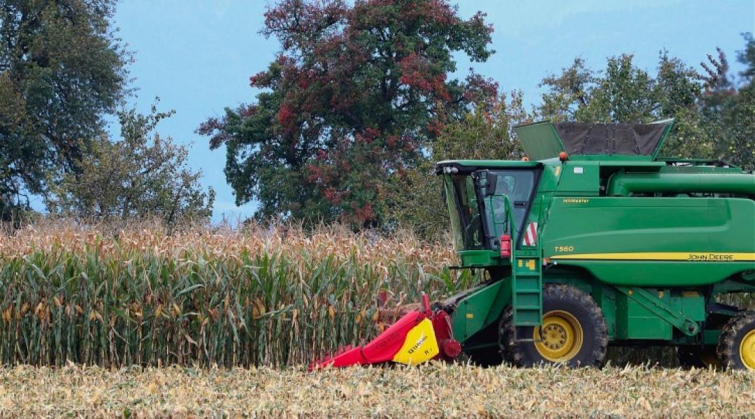 Borzalmas számok a Békés megyei terméseredményekről