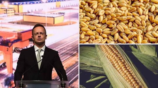 Hatalmas fejlődés a magyar vasútnál, kinyitottuk a kapukat az ukrán gabonának