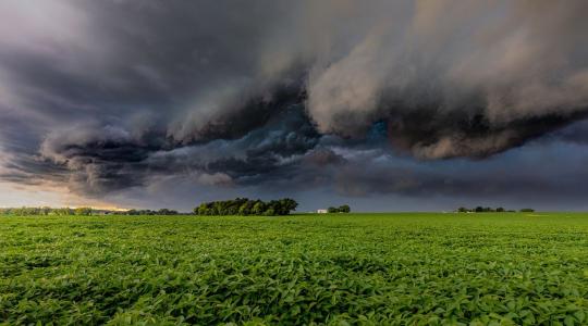 A kárenyhítési juttatás – mielőtt beadnád, készülj fel!