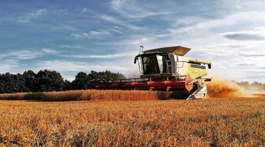 Csak az őrületes drágulás szépített az agrárium tragikus számain
