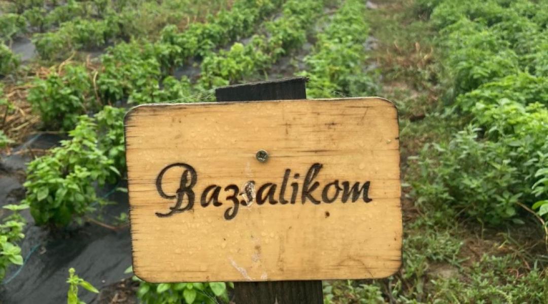 Hogyan lehet egyről a kettőre jutni gazdálkodóként?