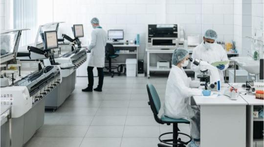 Szabad az út a laborcsirke forgalmazása előtt