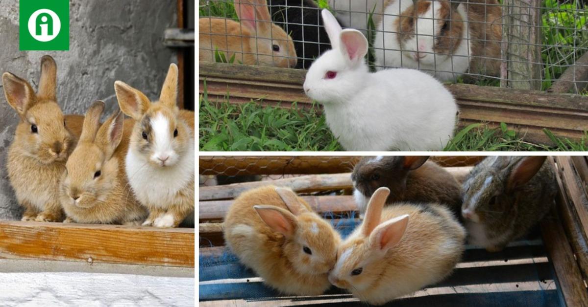 Veszteségessé vált a termelés ebben az ágazatban is – mi lesz így a termelőkkel?