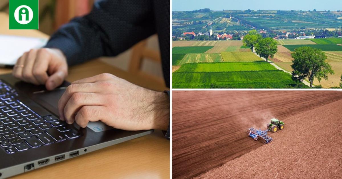 Sokba kerülhet, ha erről megfeledkezel 