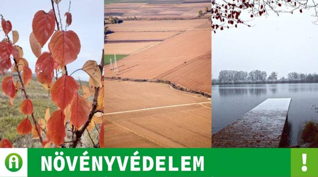 Itt az idő! Őszi lemosó permetezésre fel! – kertészeti növényvédelmi előrejelzés