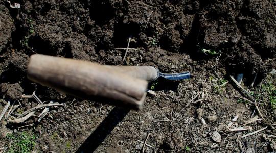 Te tudod mi az a walipini? A te kertedben is nagyon hasznos lehet