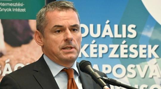 Süngombás sajttal az egészségért