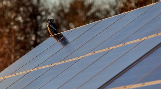 Piaci körkép a lakossági napelemekről, árak, fejlesztések, jogszabályok