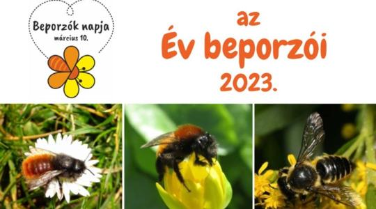 Szavazz te is az év beporzóira!