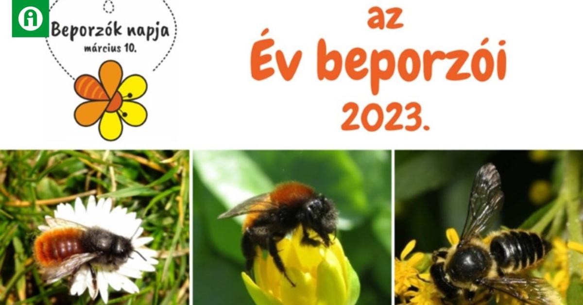 Szavazz te is az év beporzóira!