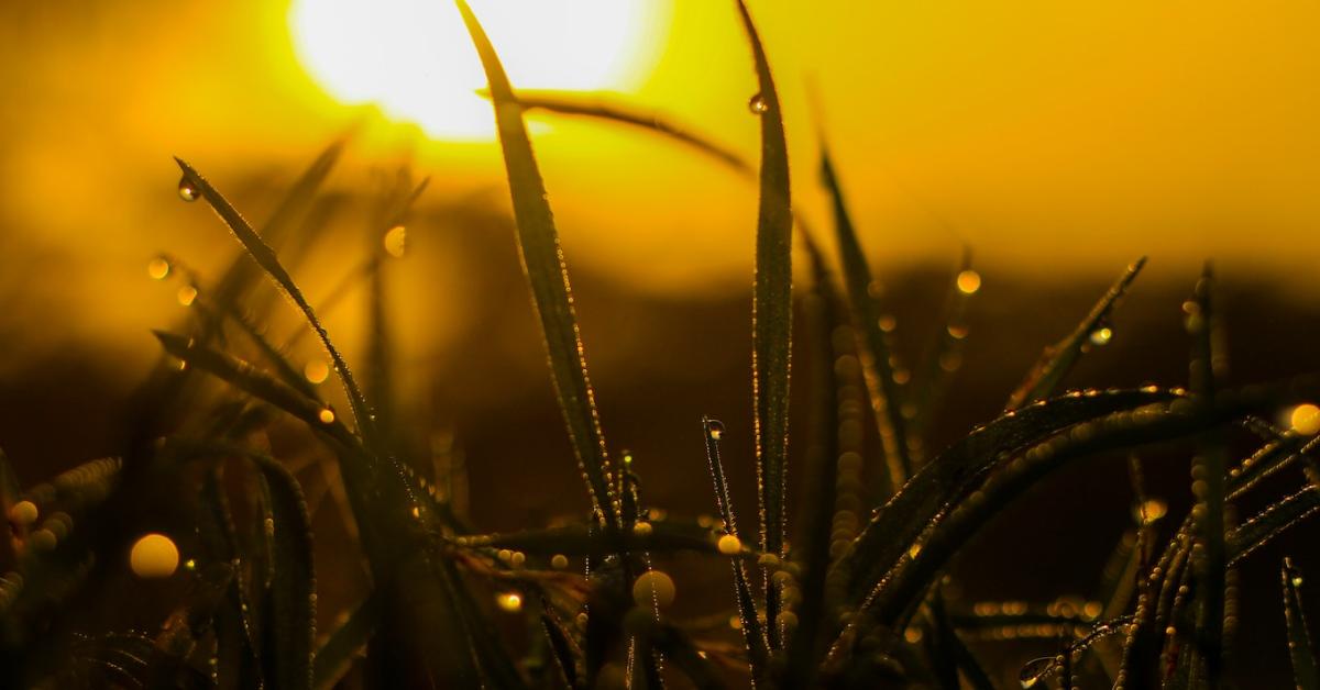 Időjárás: Egy időre búcsút inthetünk a fagyos éjszakáknak Időjárás: Egy időre búcsút inthetünk a fagyos éjszakáknak