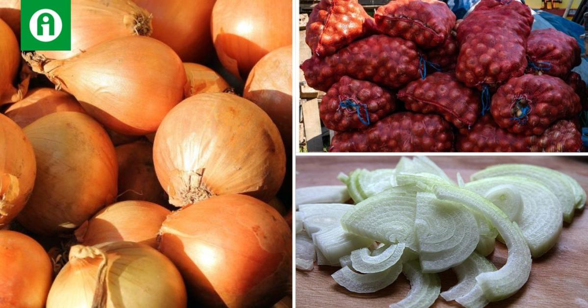 Bekövetkezhet, amitől féltünk: hiánycikk lesz a vöröshagyma Bekövetkezhet, amitől féltünk: hiánycikk lesz a vöröshagyma