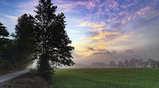 3 napos időjárás-előrejelzés: meddig tart még bennünket fogságban a szürkeség?