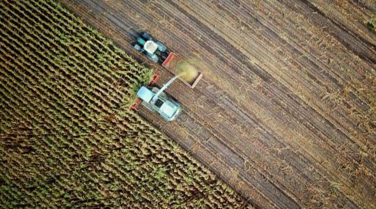 A videós tartalmak fontossága az agráriumban