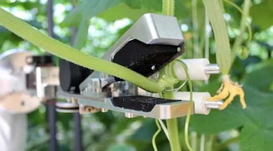 Agronómiát tanul a mesterséges intelligencia is